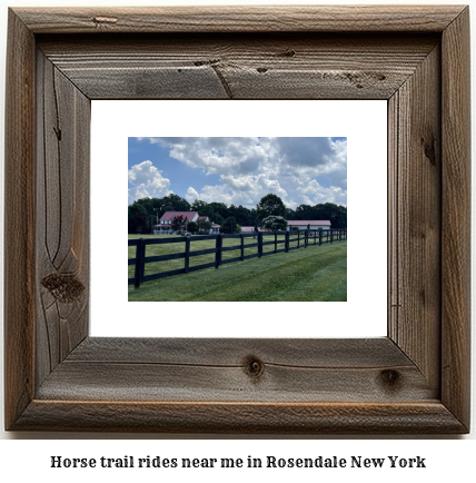 horse trail rides near me in Rosendale, New York